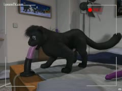 An animated cat getting fucked while sucking a sex tool